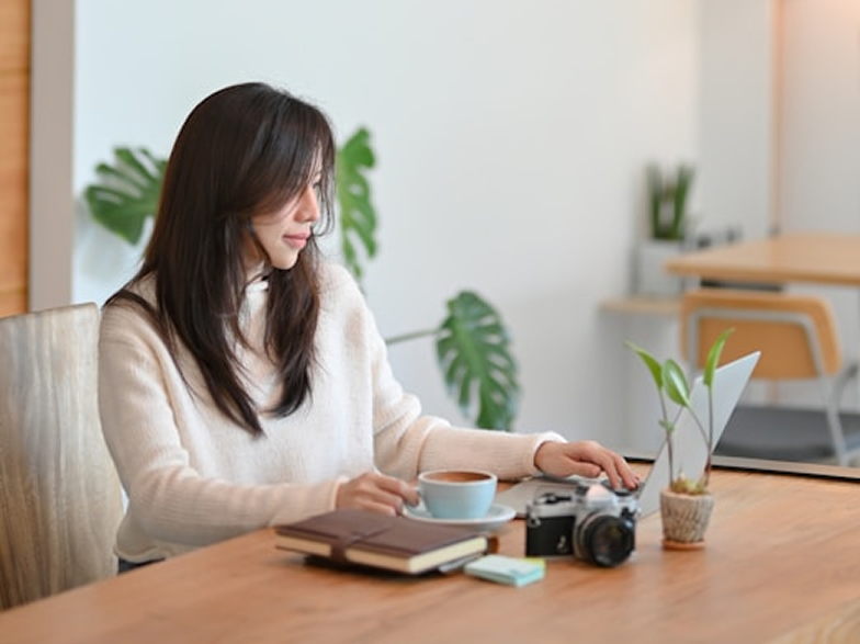Freelancer